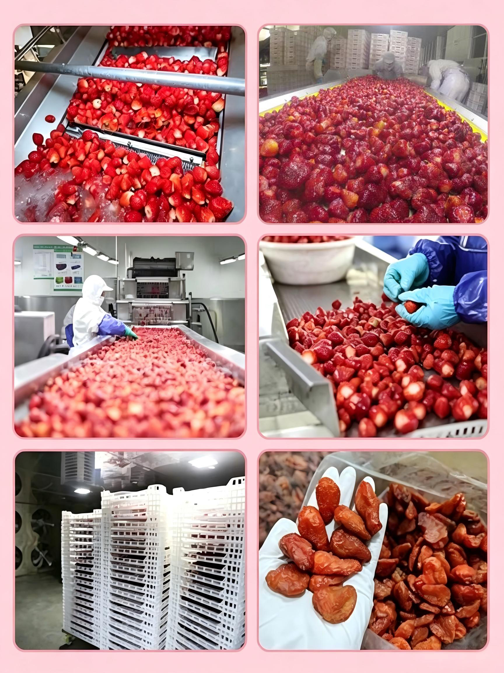 Production Facility