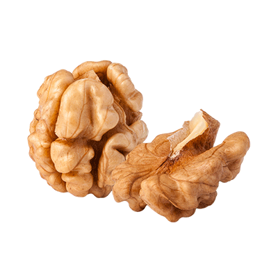 Walnut kernel
